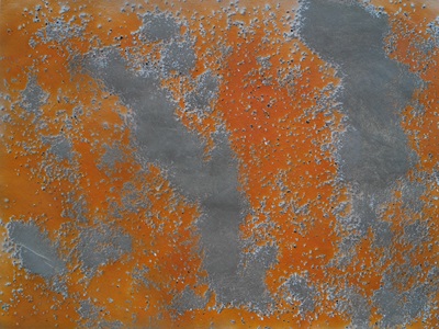 OrangeGrauSchimmel